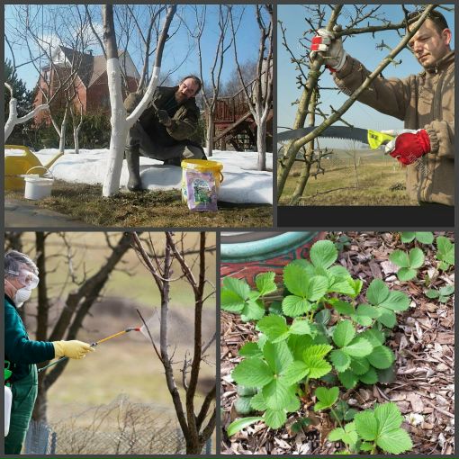 Весенние работы садовода